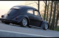 Black Bug